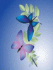 anim240320mobildesign.atw.hu_0187.gif